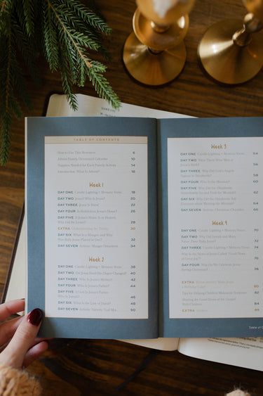 More Than a Manger: How Every Detail of the Christmas Story Points to the Messiah